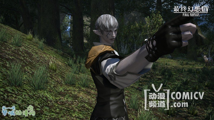 �ڴ�ָ��5���� FF14ˮ��֮��6.29�α�����